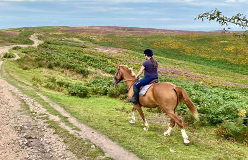 Pardlestone Farm – Self-Catering Cottages - Foto 71