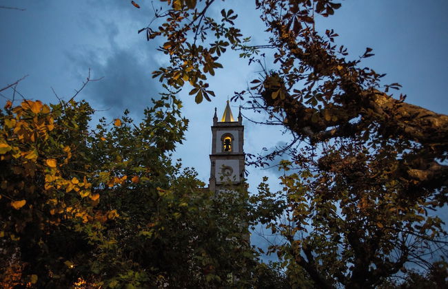 Casa dos Livros - Guest House - Foto 66