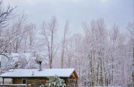 Simple Cabin Camping for Families in the Catskills of Upstate New York - Foto 20