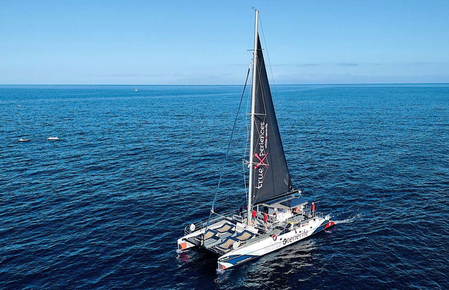 Passeio de catamarã de 3 horas com avistamento e escuta de cetáceos - Foto 1