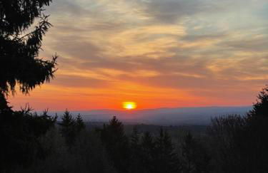 Relaxing Catskill Escape- Mountain Views - Hot Tub - Fire Pit - Heated Pool - Foto 9