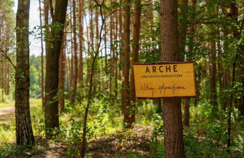 Arche Siedlisko Gołubowszczyzna - Foto 7