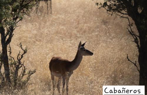Casa Rural Valle de los Molinos - Foto 10
