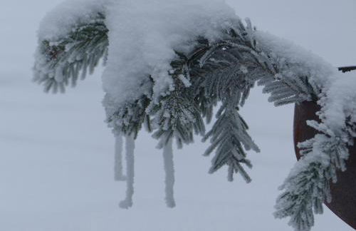Alb-Biosphäre-Ferienwohnung - Foto 44