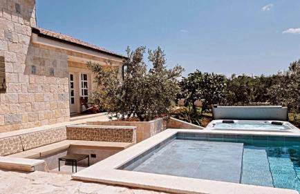 NEW 2023 Villa Tree of Life - Photo 5