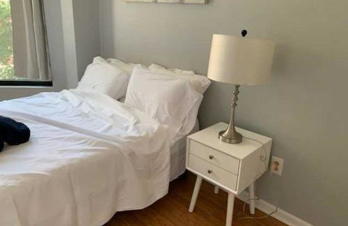 South Loop 4 Bedroom apt - Foto 6