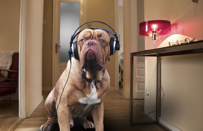 LivingPorto Boavista Apartments - Foto 30