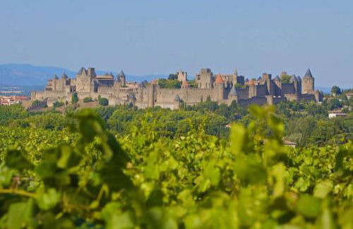 MAS DES VIGNES - View Cité de Carcassonne - Foto 39