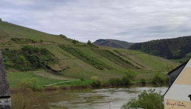 Gästehaus Herda - Photo 4