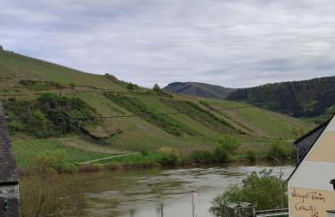 Gästehaus Herda - Foto 7