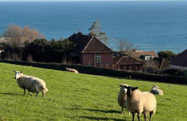 Skipper's Lookout - Foto 1