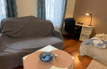 Studio miroir-arrivée autonome-animal ok - Photo 20