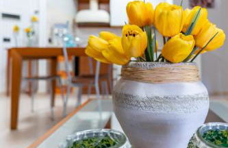 Chantal's House - Foto 3