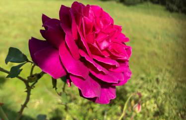 Seeblick Oase - Foto 5