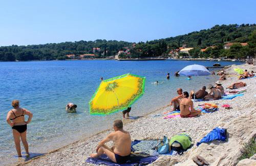 Apartments by the sea Zaton Veliki, Dubrovnik - 2107 - Photo 3
