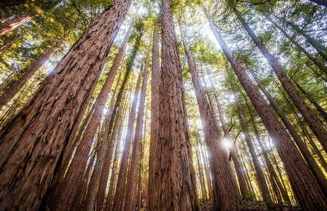 Private Day Trips from San Francisco - Photo 3