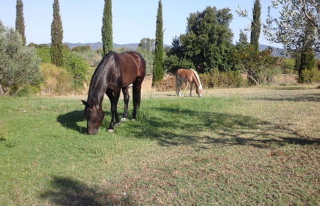 Podere Campovecchio - Foto 19
