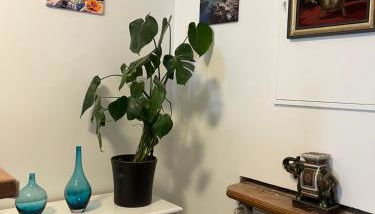 Charmante Wohnung Appartement in Ulm - Foto 4