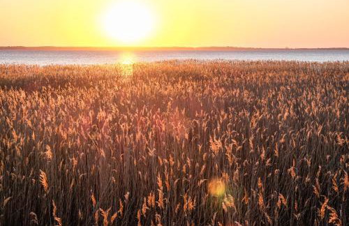 Ferienhaus Karola - Foto 32