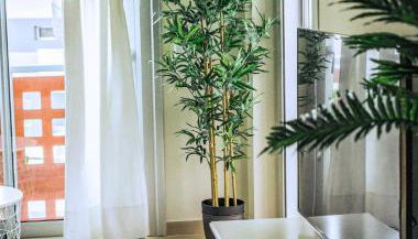 Apartamento VISTA ROJA - LA TEJITA - Foto 5