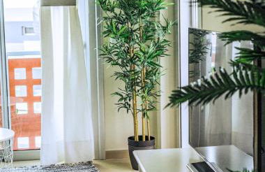 Apartamento VISTA ROJA - LA TEJITA - Foto 5