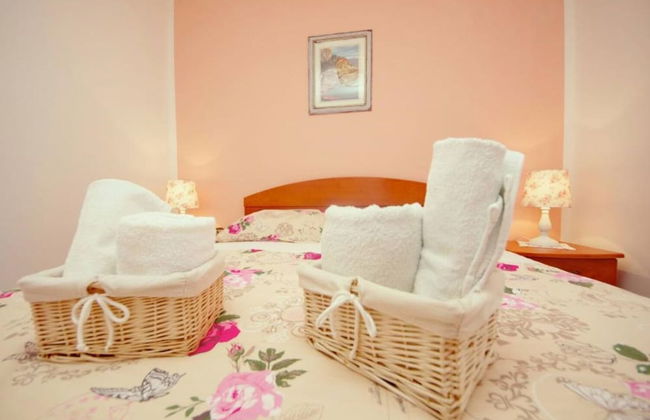 Dino - Gorgeous Garden - SA1 Zavala - Photo 2