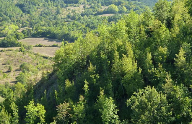 Belvilla by OYO Baita del Por Azzolo - Foto 31