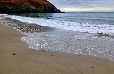 Gold Standard Luxury and Modern Static Caravan at Clarach Bay - Foto 35