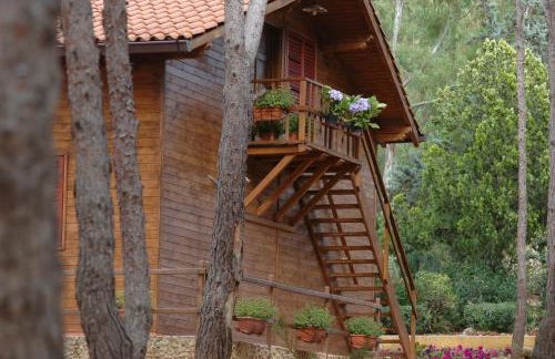 Villa Rosemary - Photo 28