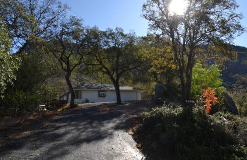 Shady Knoll - Photo 3