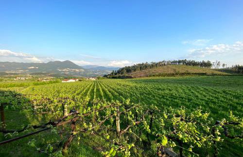 Turra Nature House - Foto 4