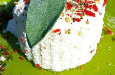 Agroturystyka Jak Makiem Zasiał Dworki 10 - Foto 62