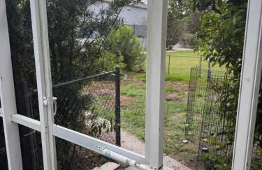 Charming 3bed 2bath Palmetto Pool Home - Photo 14