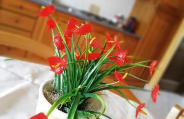 Il Corallo - Foto 26