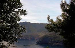 Dialiskari #2 - Foto 27