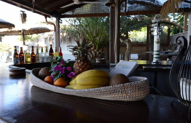 Nemo Studios - Foto 31