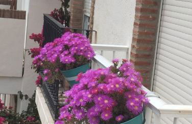 Apartamento Amanecer Laguna Beach Torrox costa - Photo 22