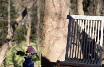 Glampinghütte Georgenthal - Foto 14