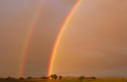Ferienwohnung Rupp Bergblick & private Sauna - Photo 34