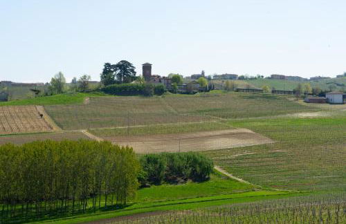 Vignot & Wine - Foto 22