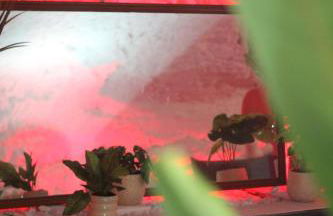 L alcove des Sens Jacuzzi sauna - Photo 20