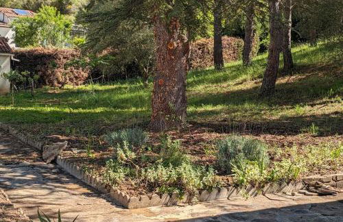 La Pinède - Foto 11