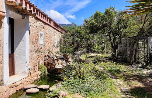 La Fattoria Delle Tartarughe - Foto 18