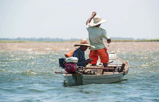 Santarém Rivers Tour - Photo 4