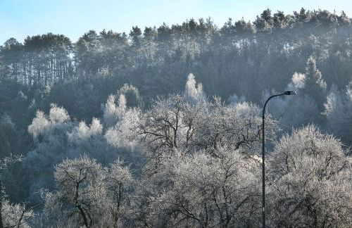 Zum Pinken Schaf - Photo 36