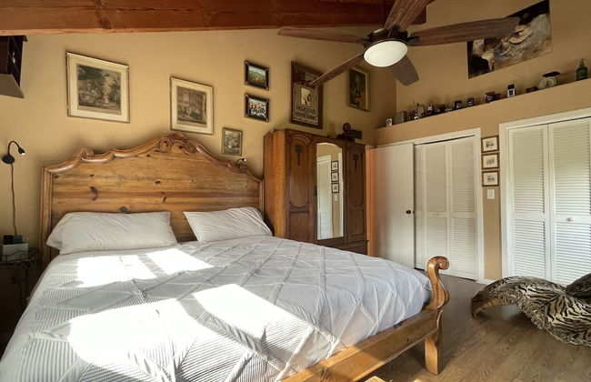 Treehouse Apartment Rentals - Foto 2