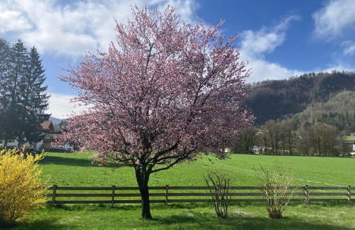 Open Garden Mountain Lodge - Foto 1