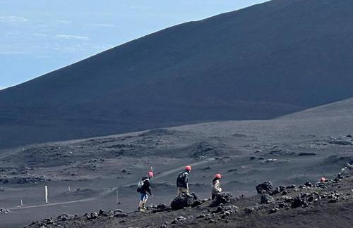 Tuttifrutti holiday - Foto 53