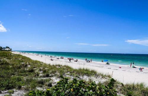 Sea Turtle Sunshine - Foto 24