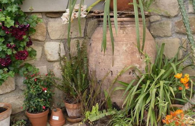 San Noto Turismo Rurale - Foto 66